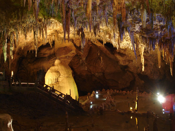 �������TƱ